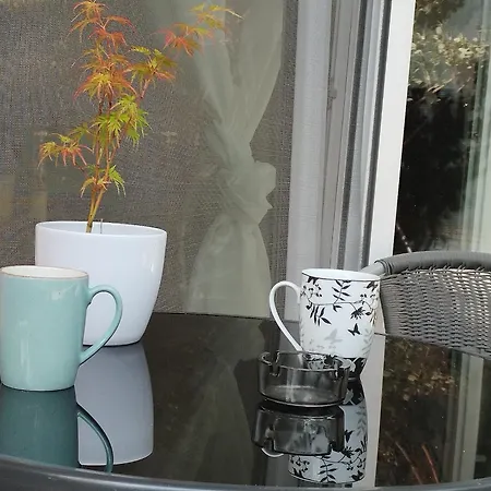 Betula Cozy 1 Bdr - Ac, Terrace, Easy Access Apartment